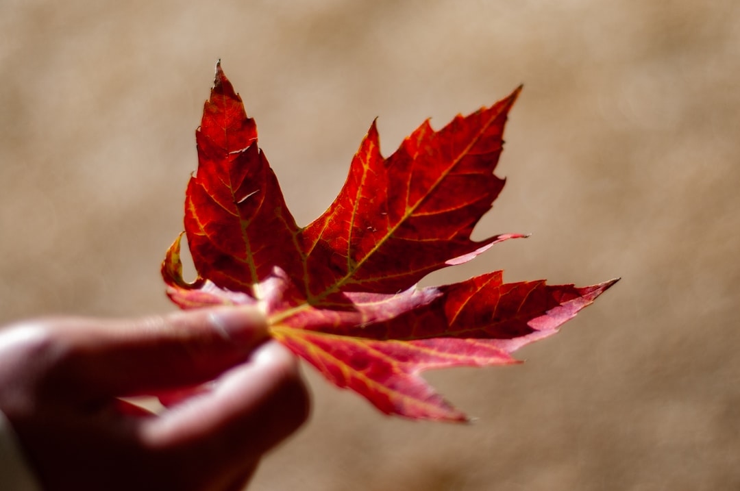 Топ-5 найефективніших способів зміцнення імунітету восени
